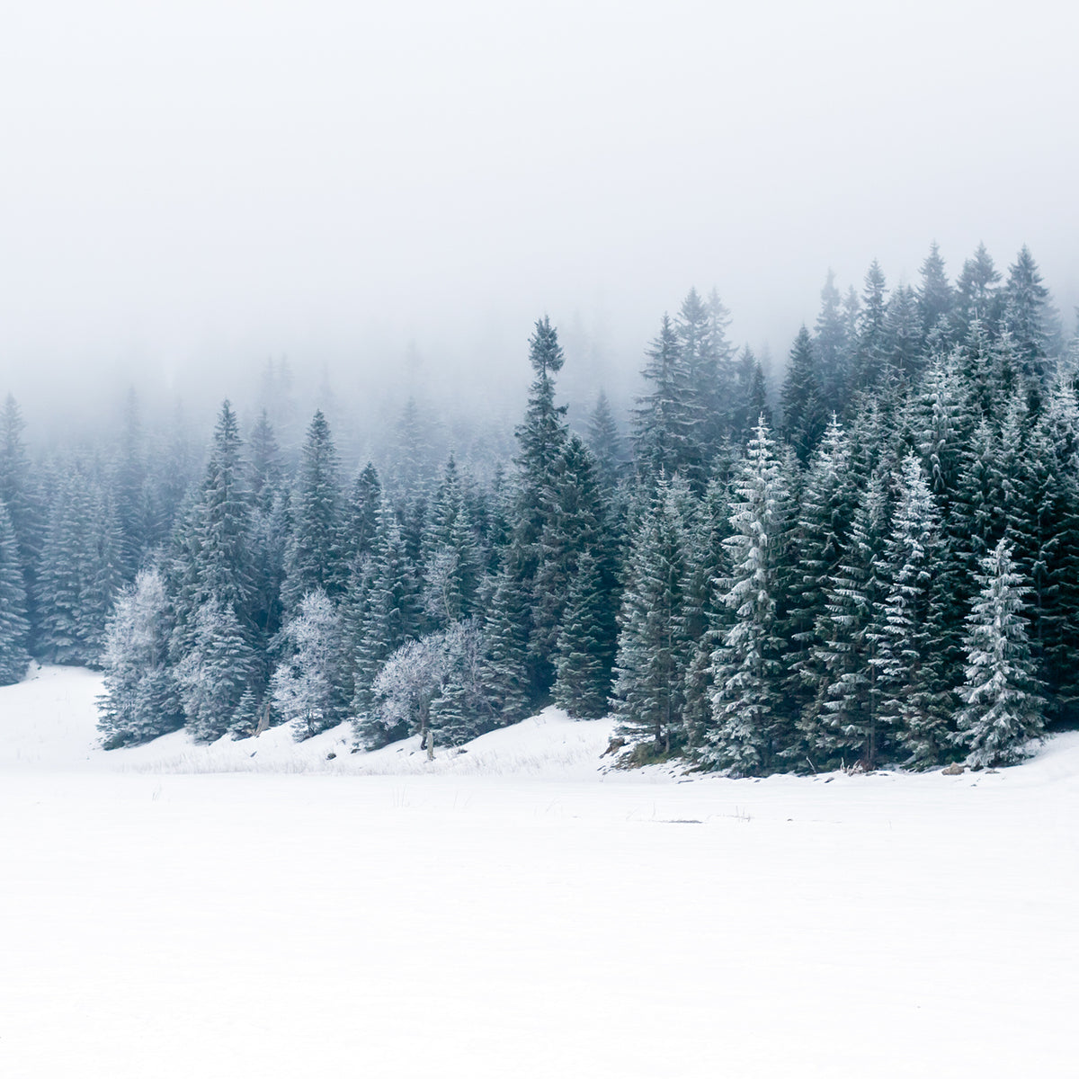 Winter Pack - 1oz Sizes