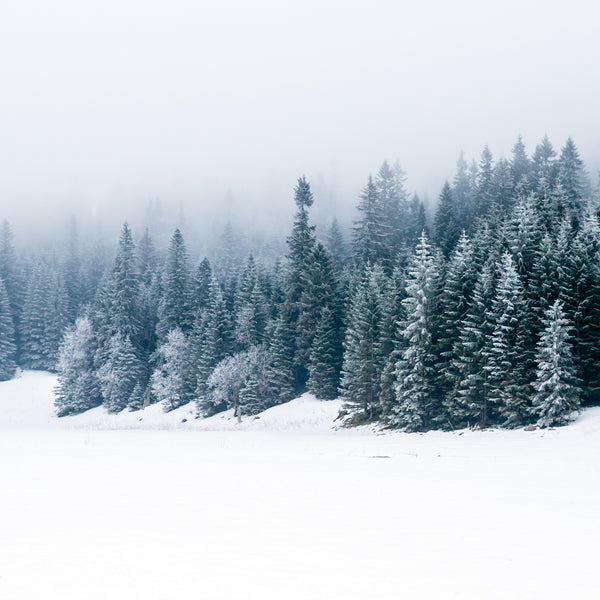 Winter Pack - 1oz Sizes